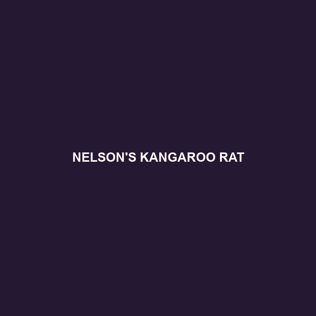 Nelson's Kangaroo Rat