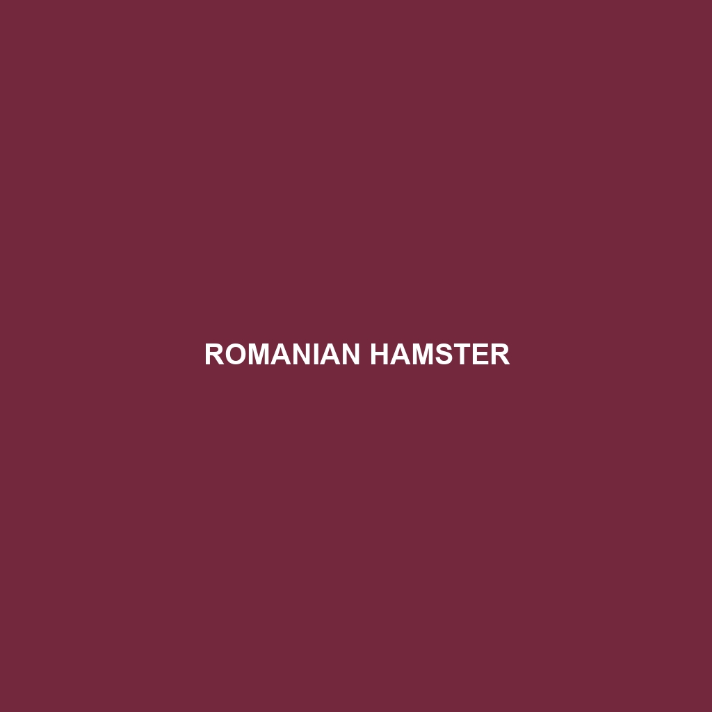 Romanian Hamster