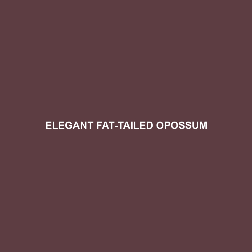 Elegant Fat-tailed Opossum