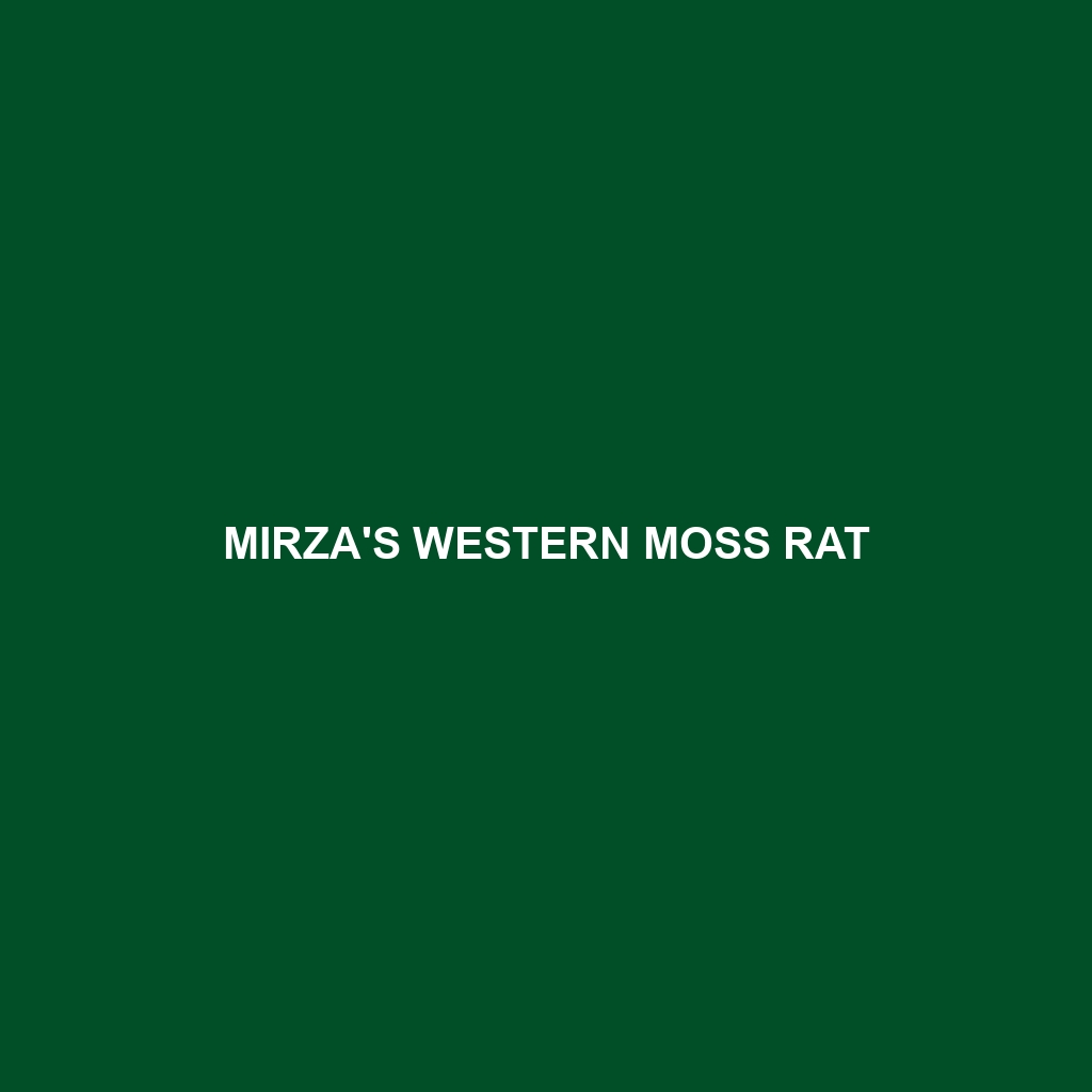 Mirza's Eastern Moss Rat