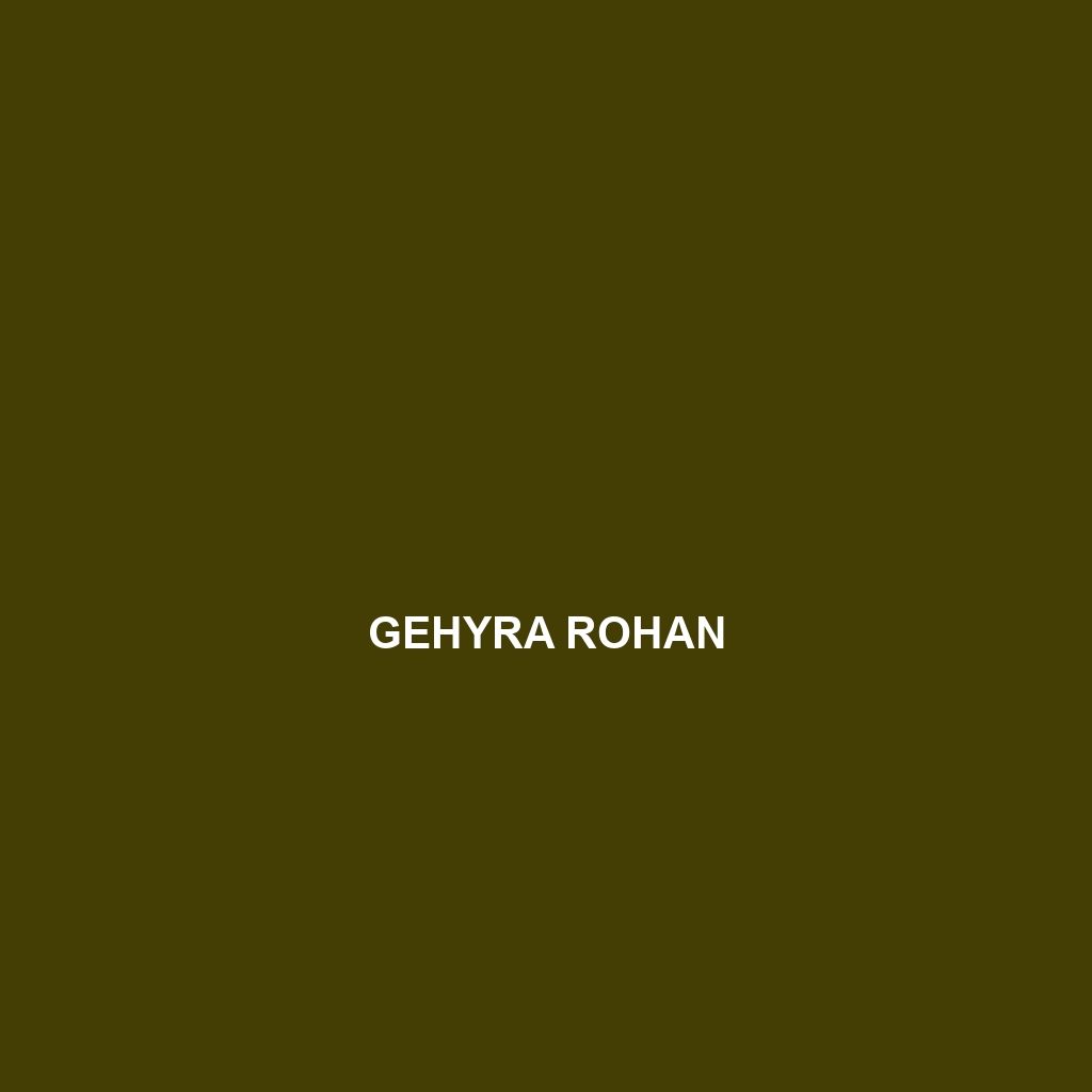 Gehyra rohan