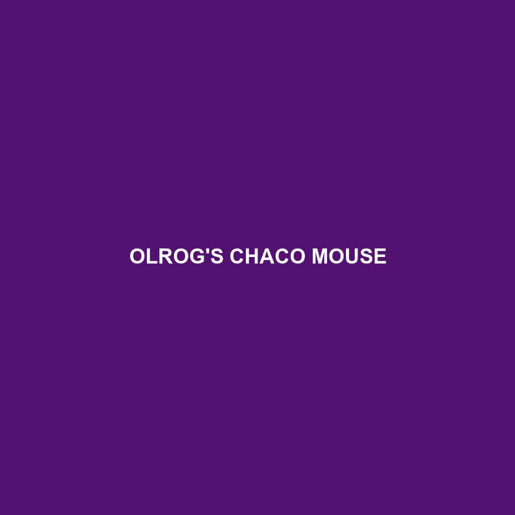 Olrog's Chaco Mouse