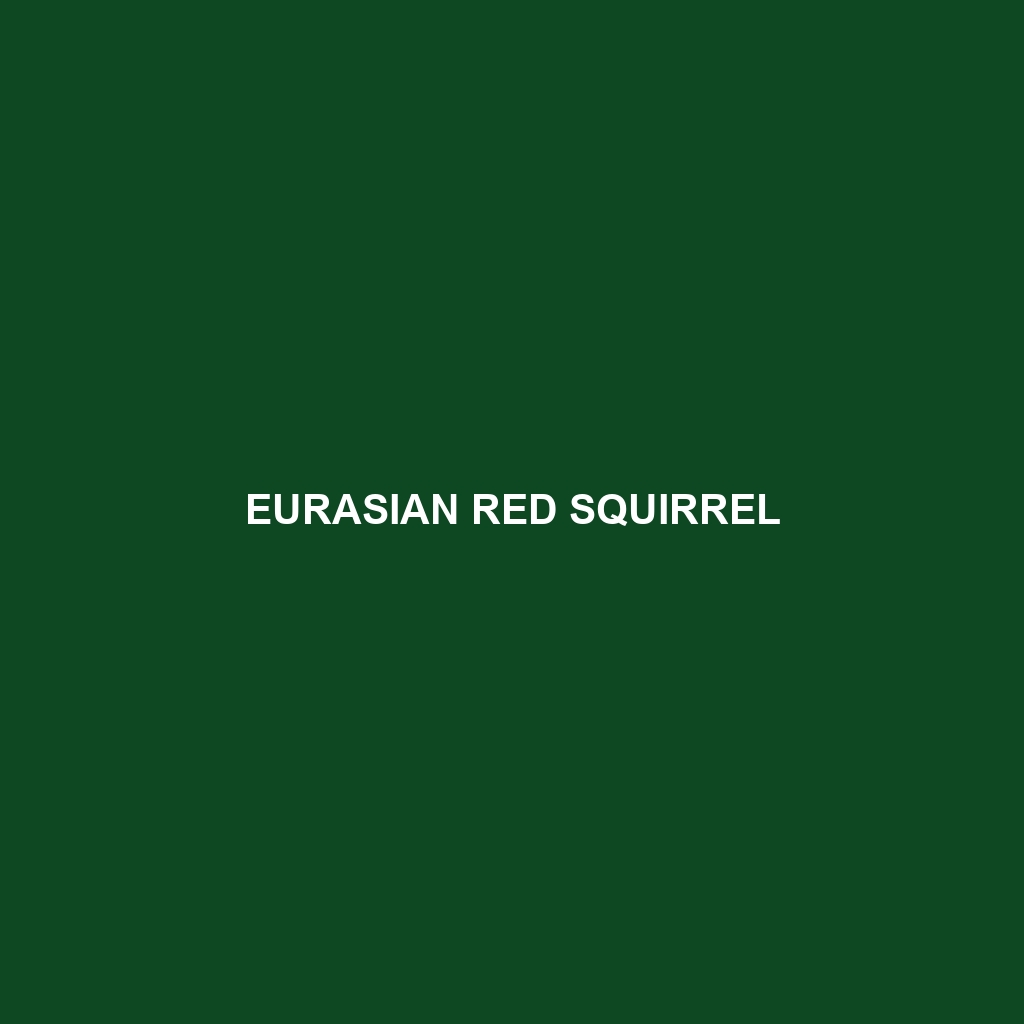 Eurasian Red Squirrel