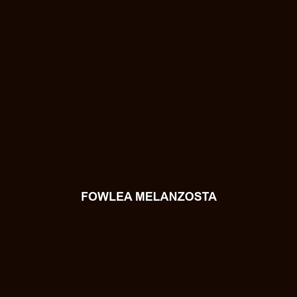 Fowlea melanzosta