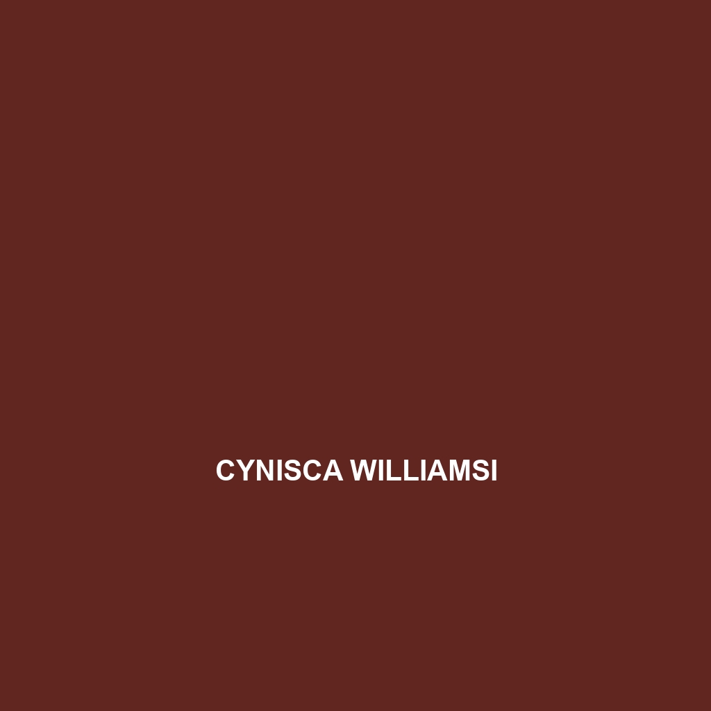 Cynisca williamsi