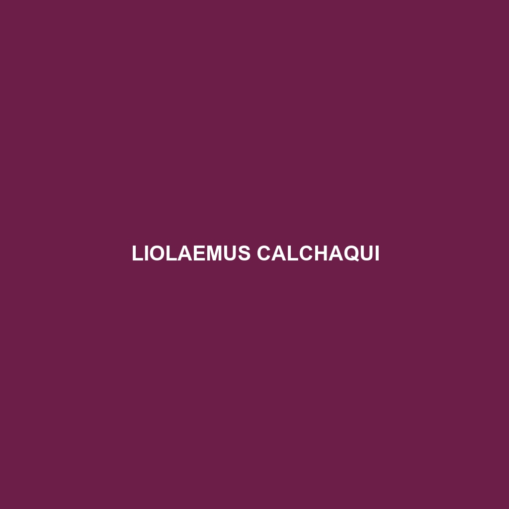 Liolaemus calchaqui