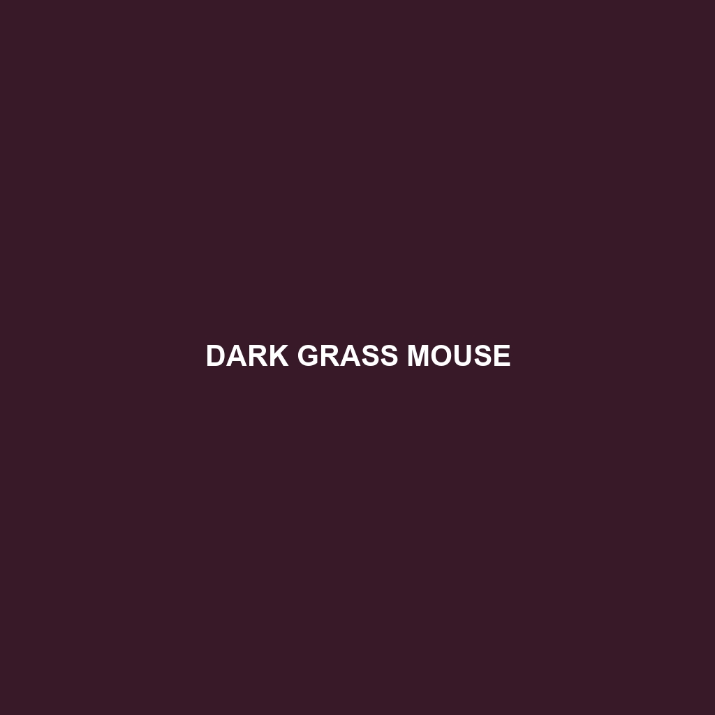 Dark Grass Mouse