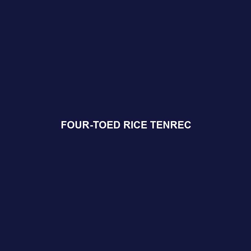 Four-toed Rice Tenrec