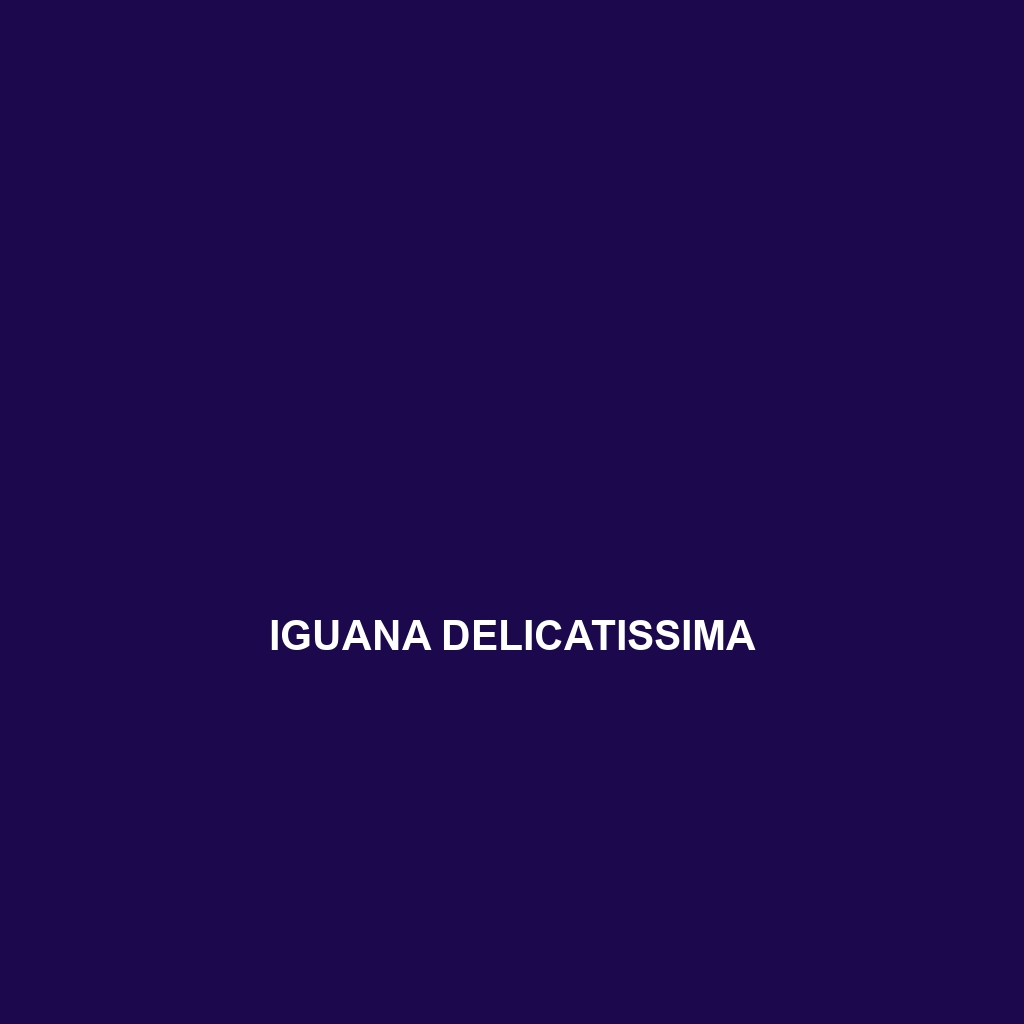 Iguana delicatissima