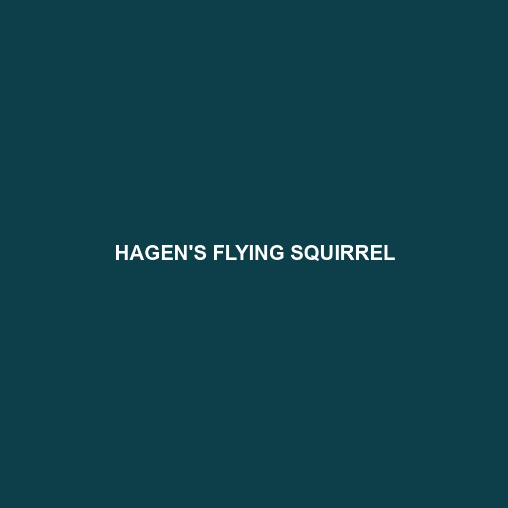 Hagen's Flying Squirrel