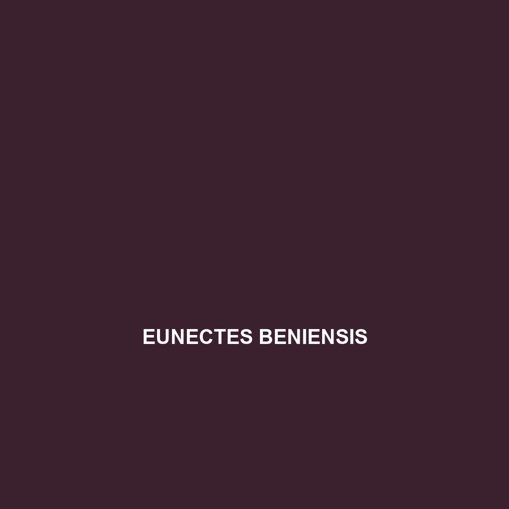 Eunectes beniensis