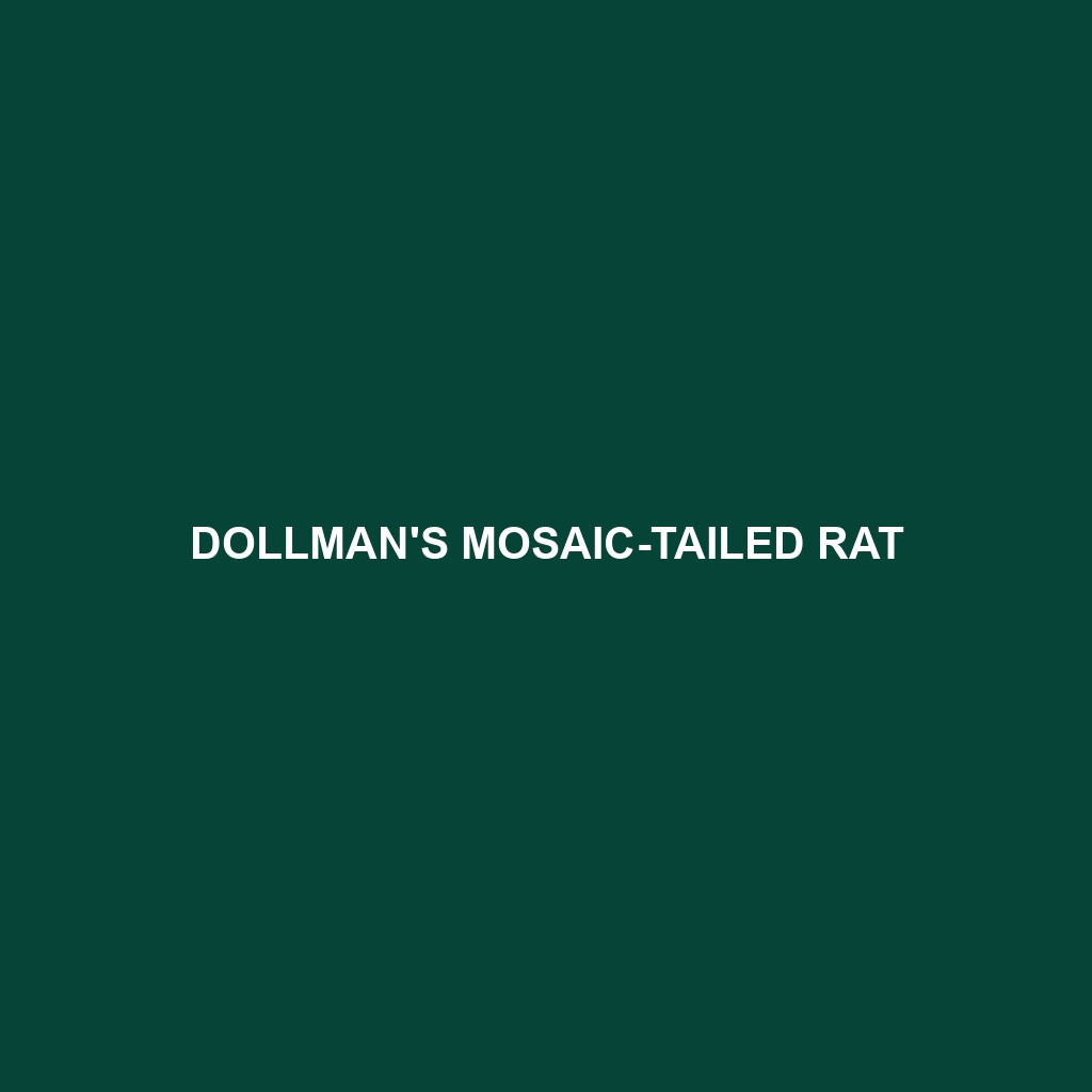 Manusela Mosaic-tailed Rat