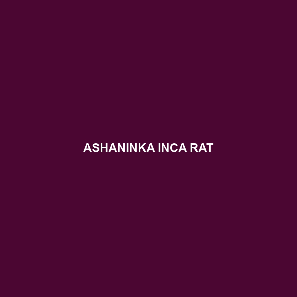 Ashaninka Inca Rat