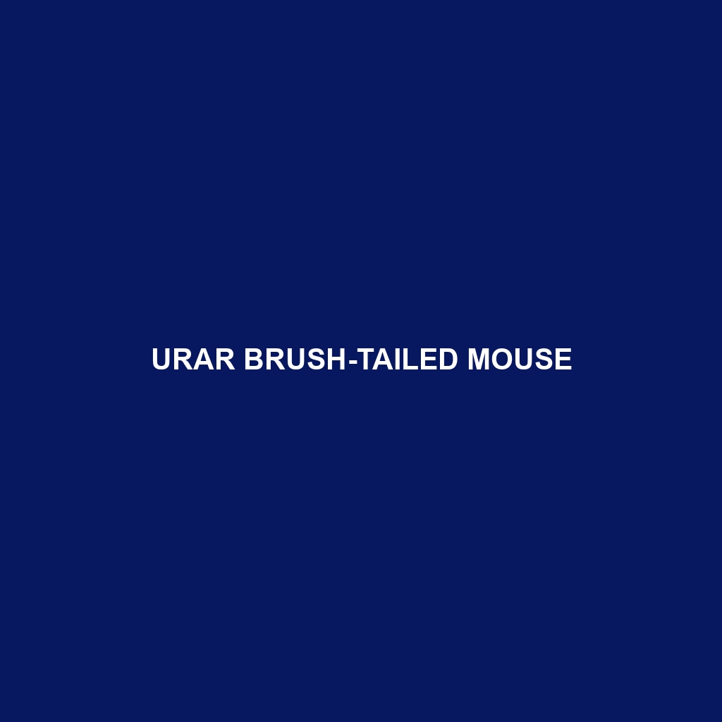 Urar Brush-tailed Mouse