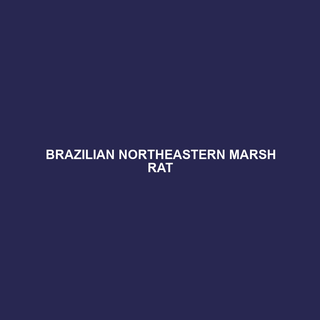 Brazilian Northeastern Marsh Rat