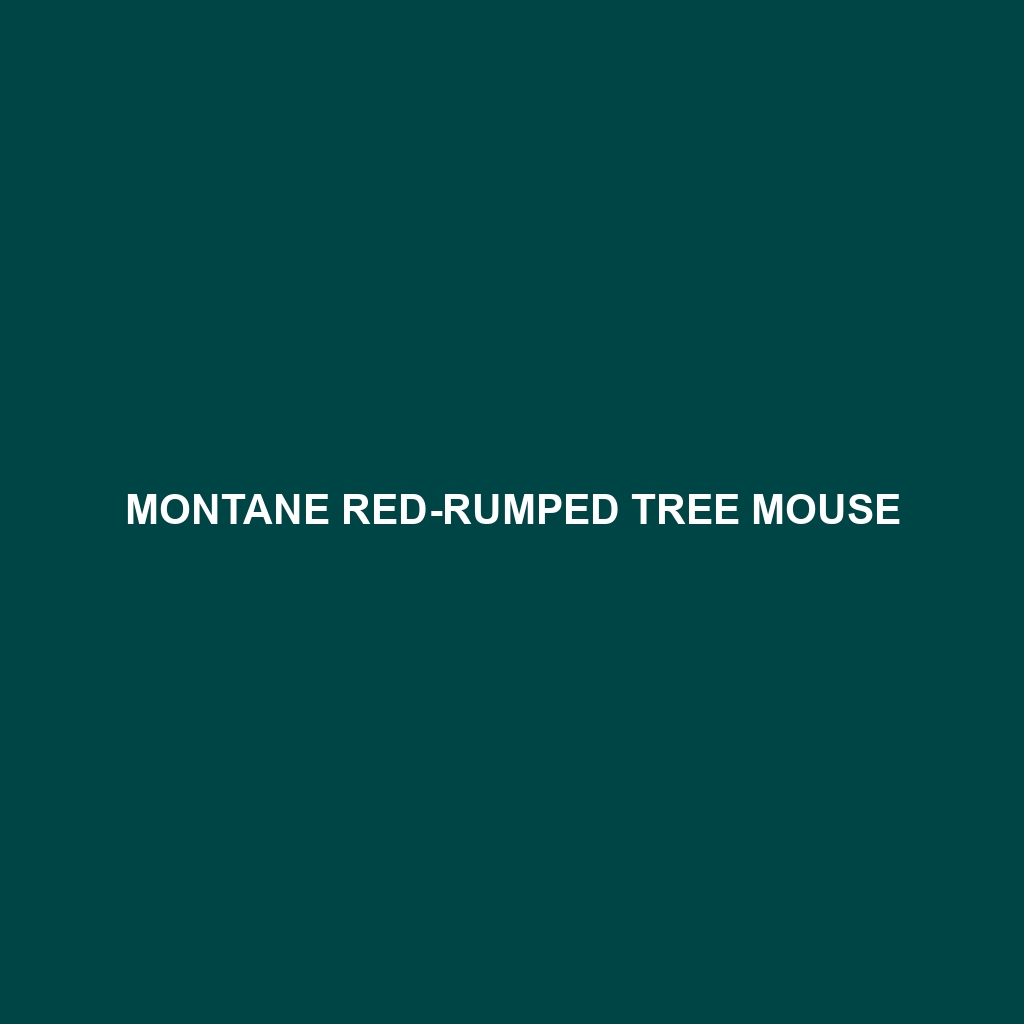 Montane Red-rumped Tree Mouse