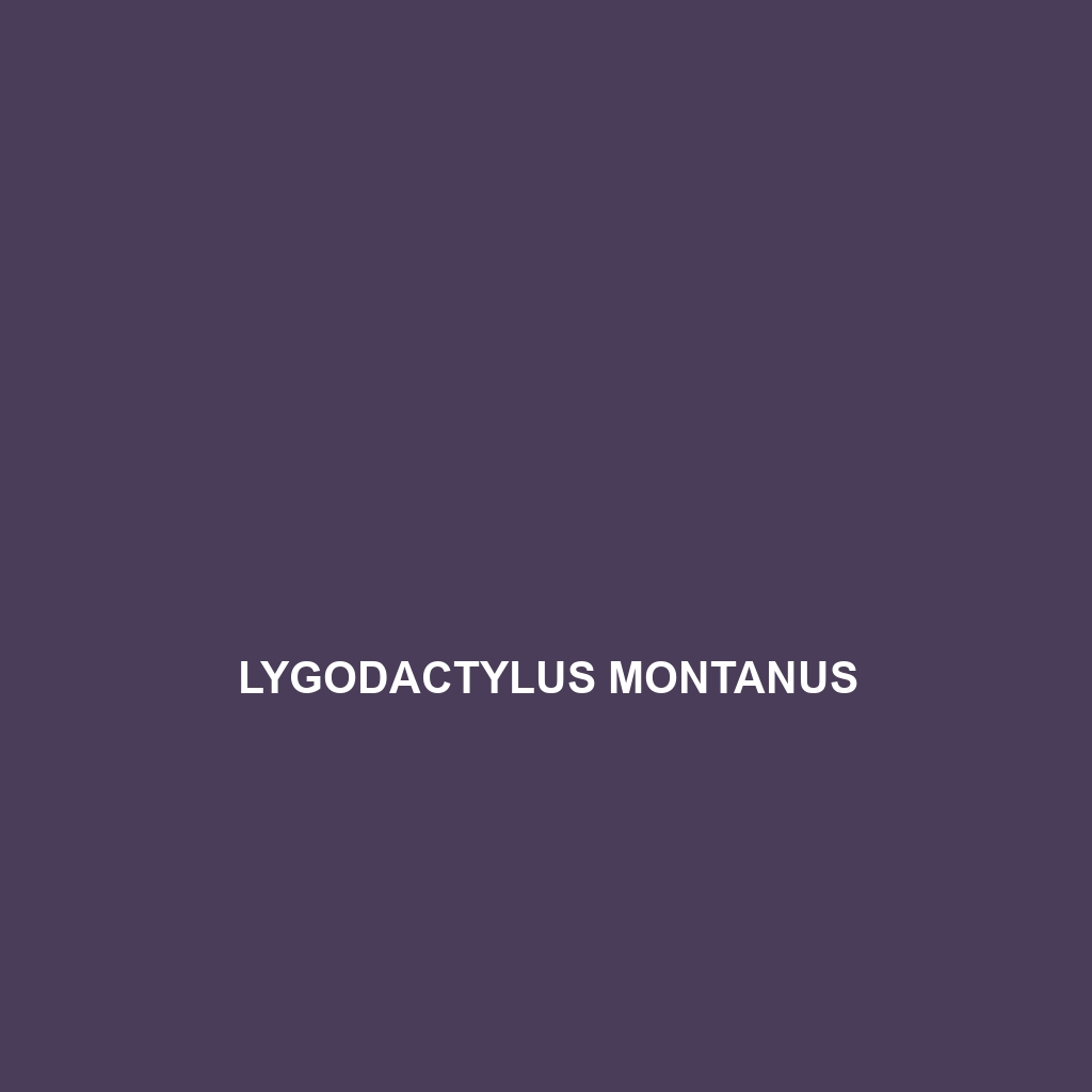 Lygodactylus montanus