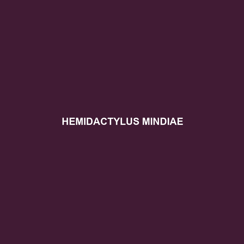 Hemidactylus mindiae