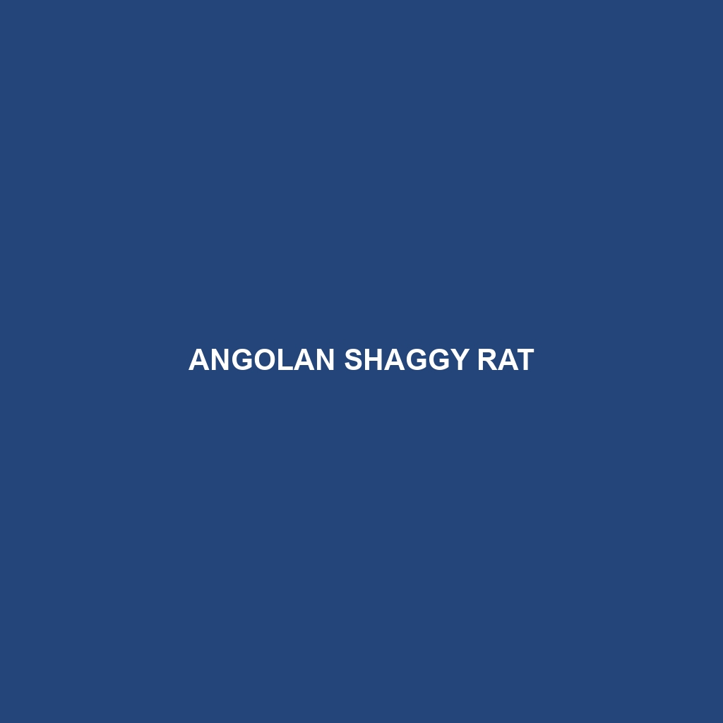 Angolan Shaggy Rat