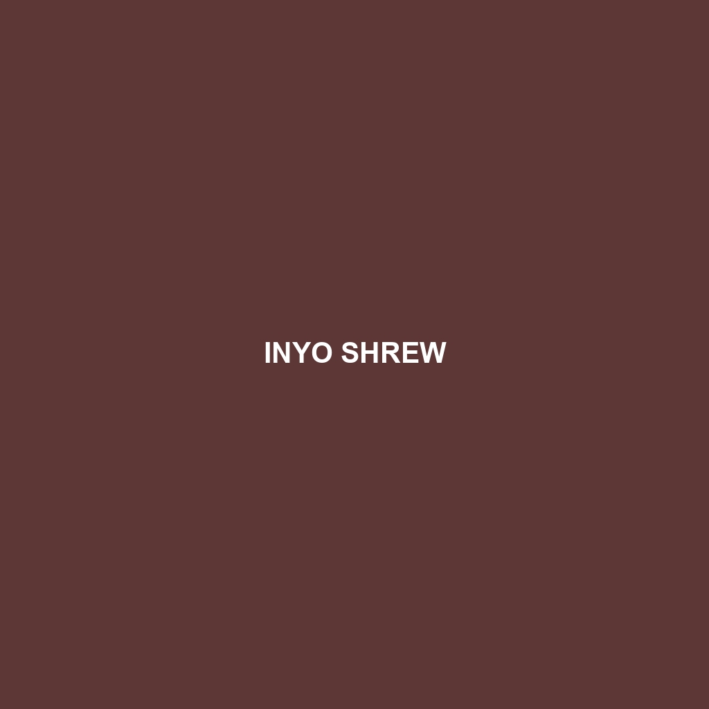 Inyo Shrew