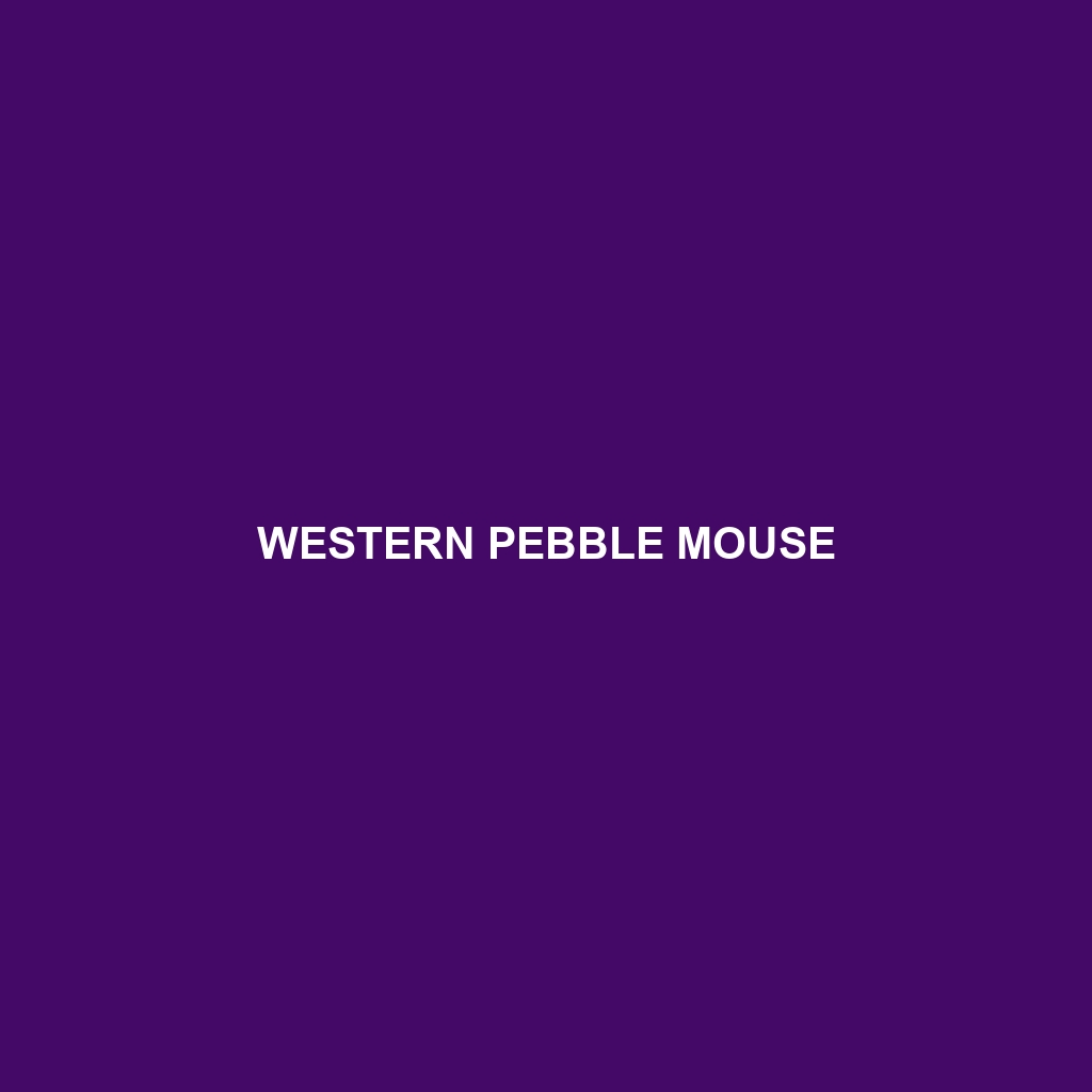 Western Pebble Mouse