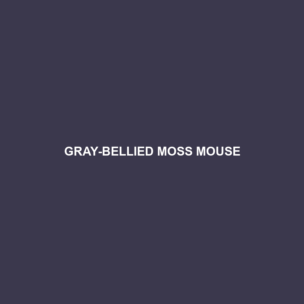 Gray-bellied Moss Mouse