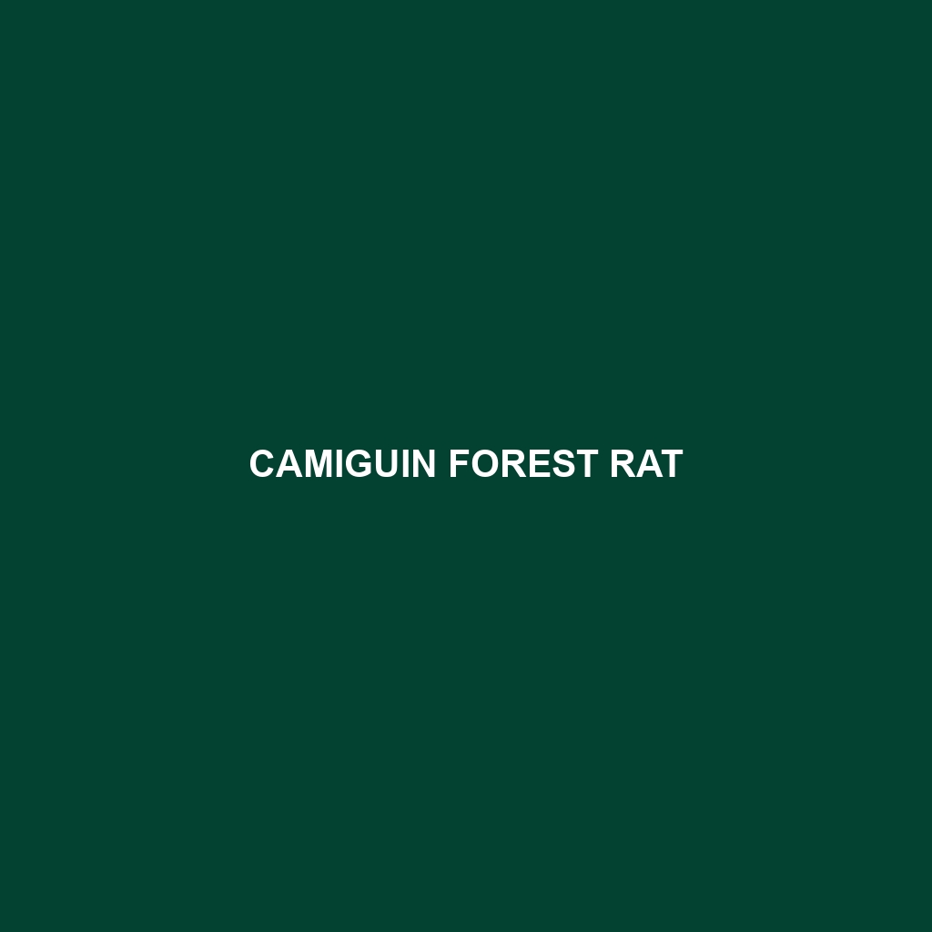 Camiguin Forest Rat