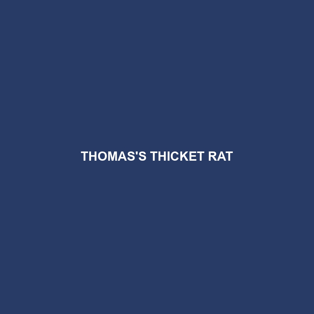 Thomas's Thicket Rat