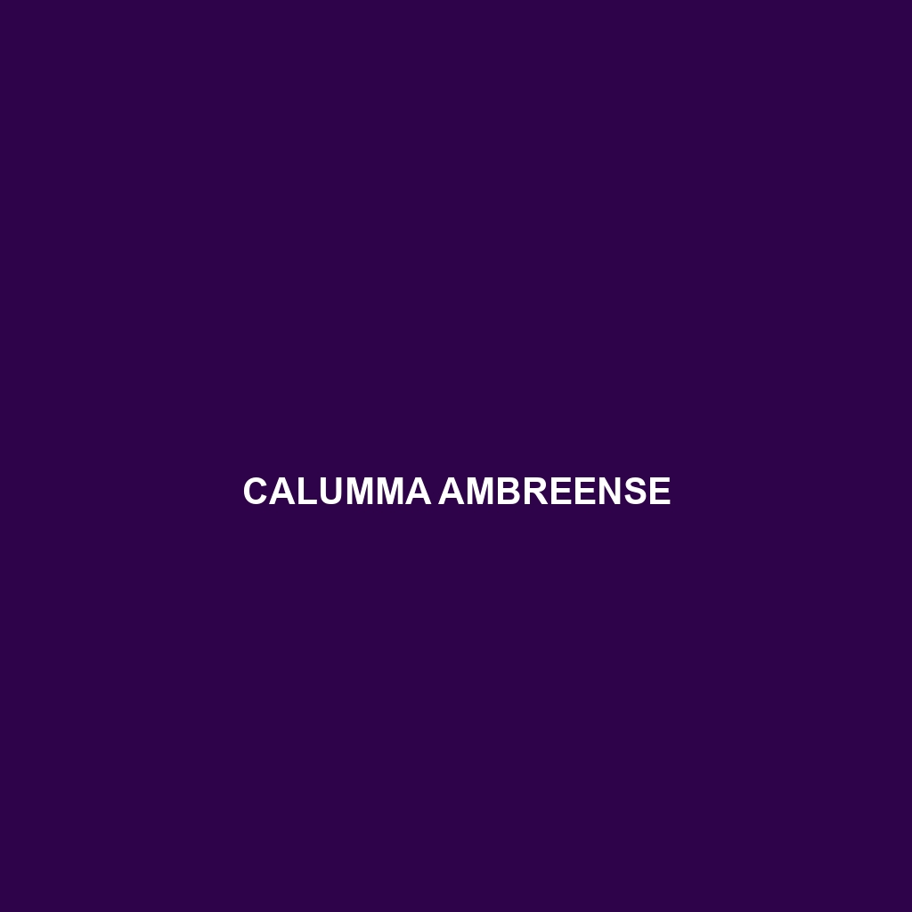 Calumma ambreense