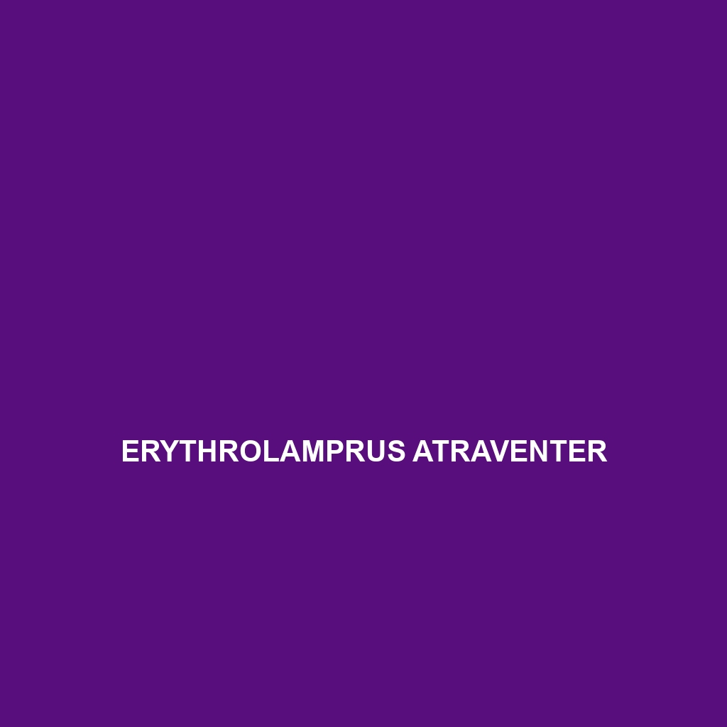 Erythrolamprus atraventer