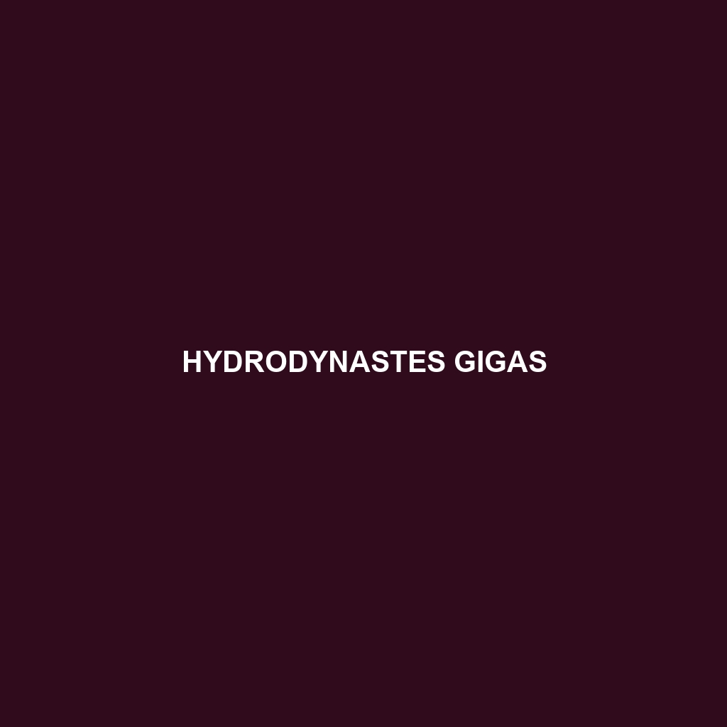 Hydrodynastes gigas