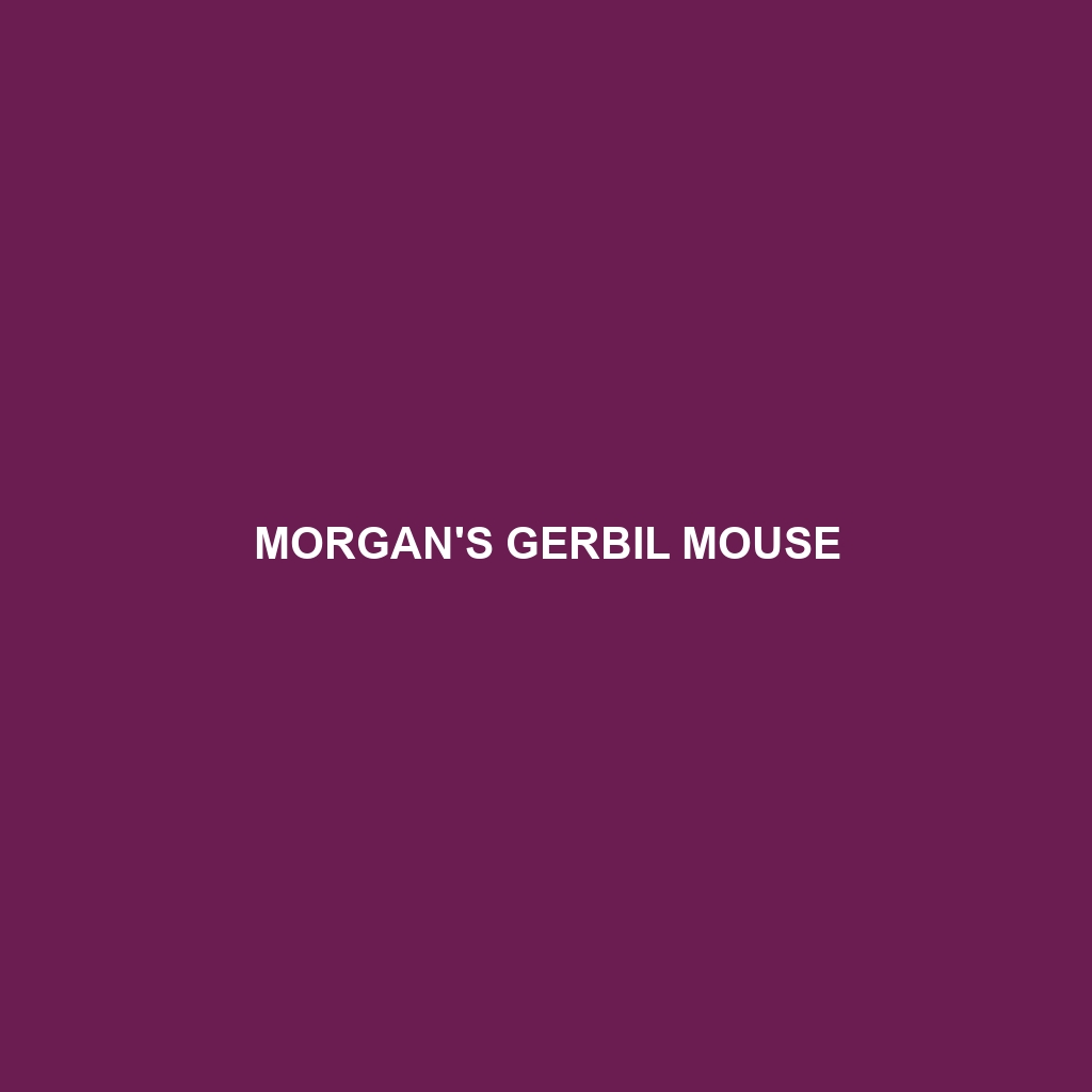 Morgan's Gerbil Mouse