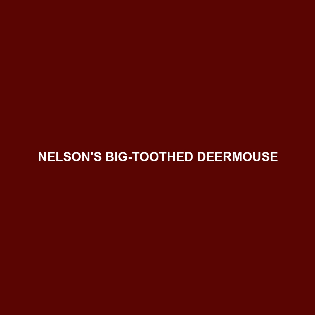 Nelson's Big-toothed Deermouse