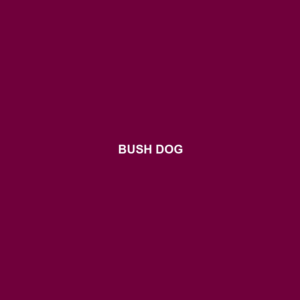 Bush Dog