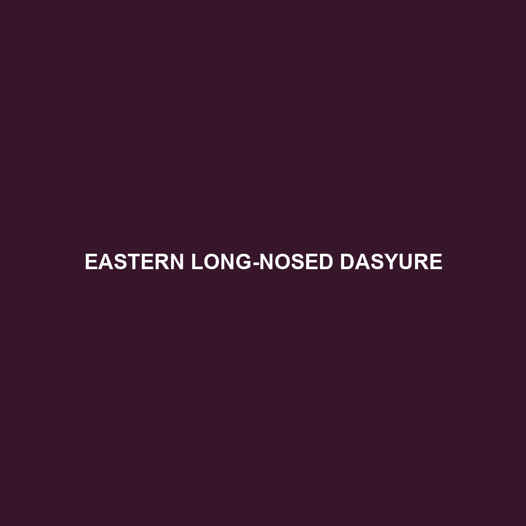 Eastern Long-nosed Dasyure