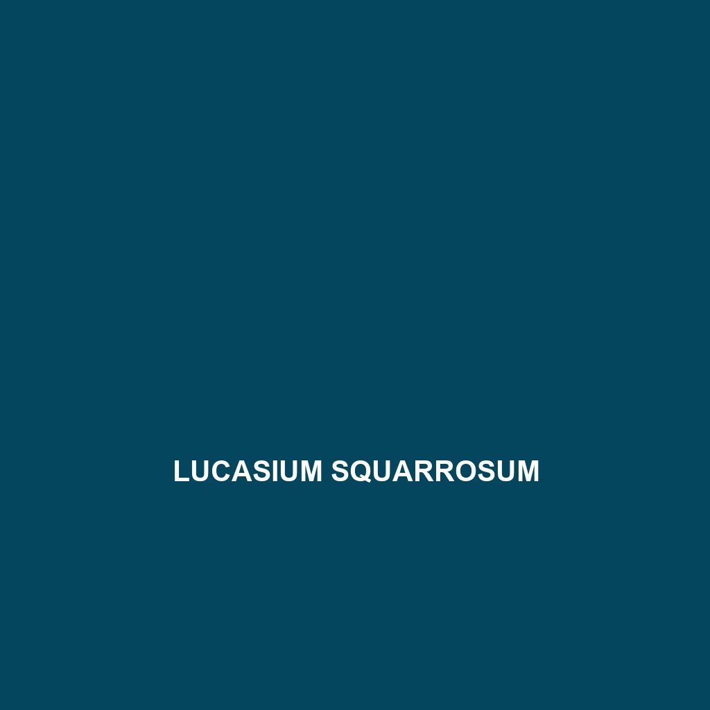 Lucasium occultum