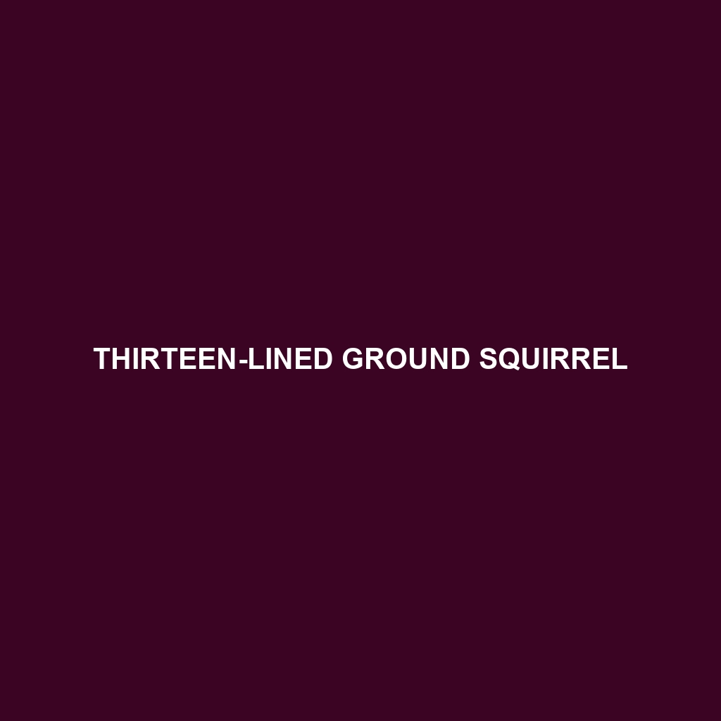 Thirteen-lined Ground Squirrel