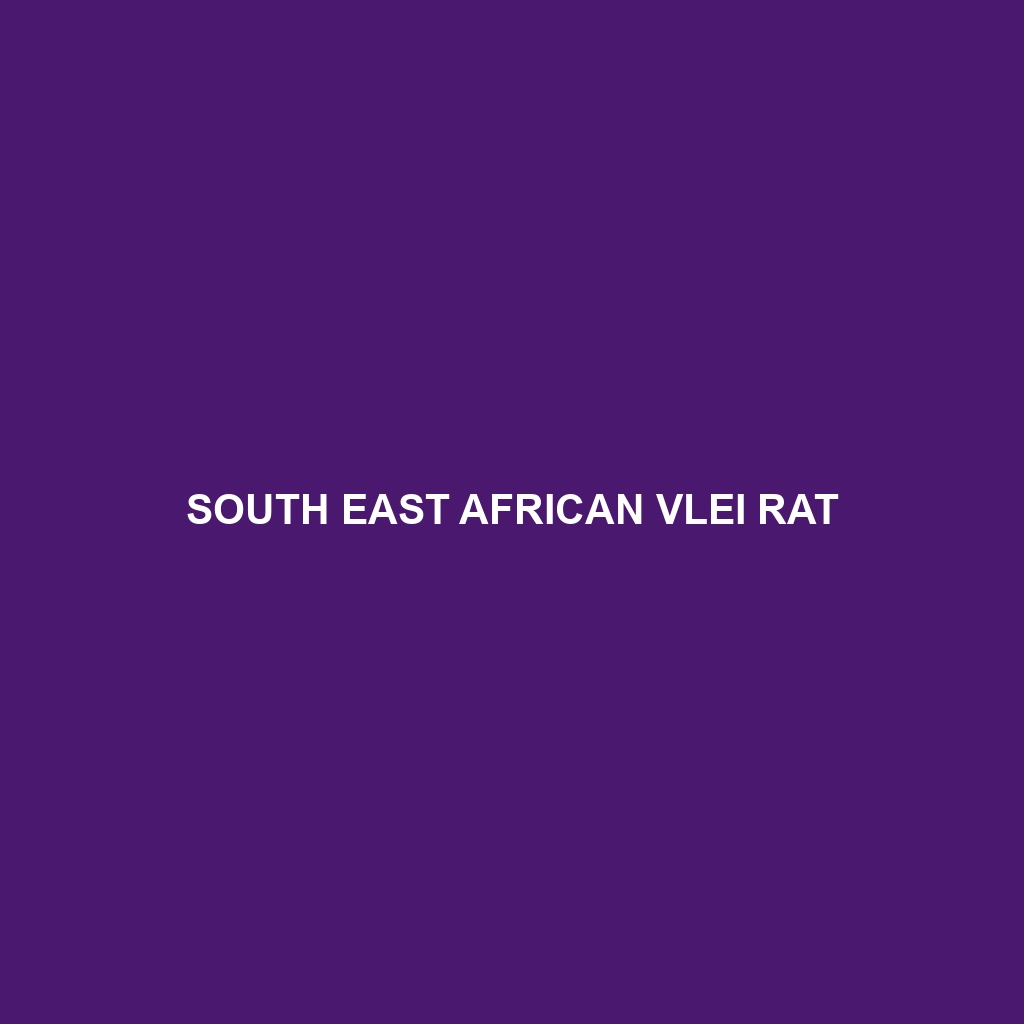 South East African Vlei Rat