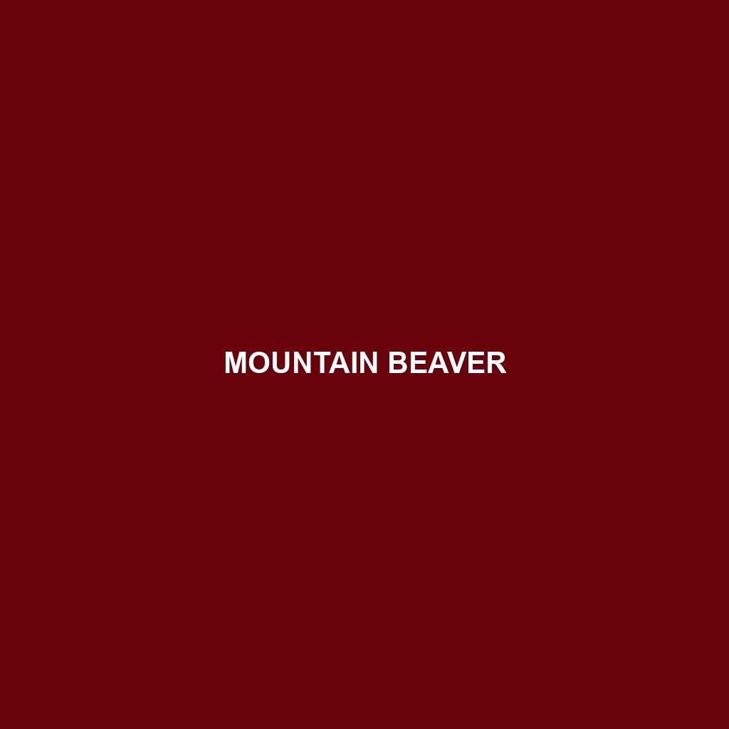 Mountain Beaver