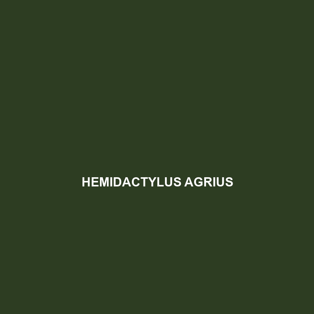 Hemidactylus agrius