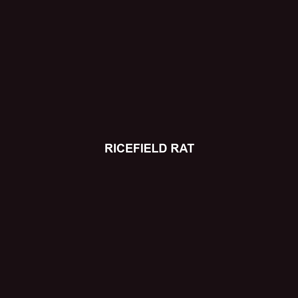 Ricefield Rat