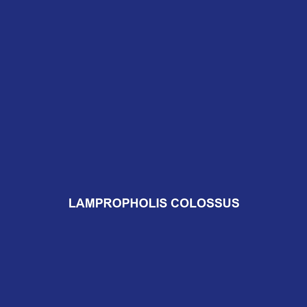 Lampropholis colossus