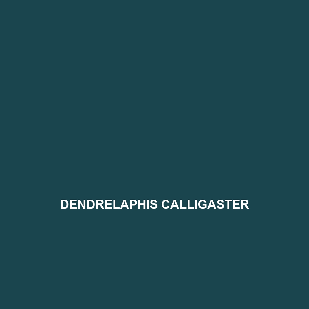 Dendrelaphis calligaster