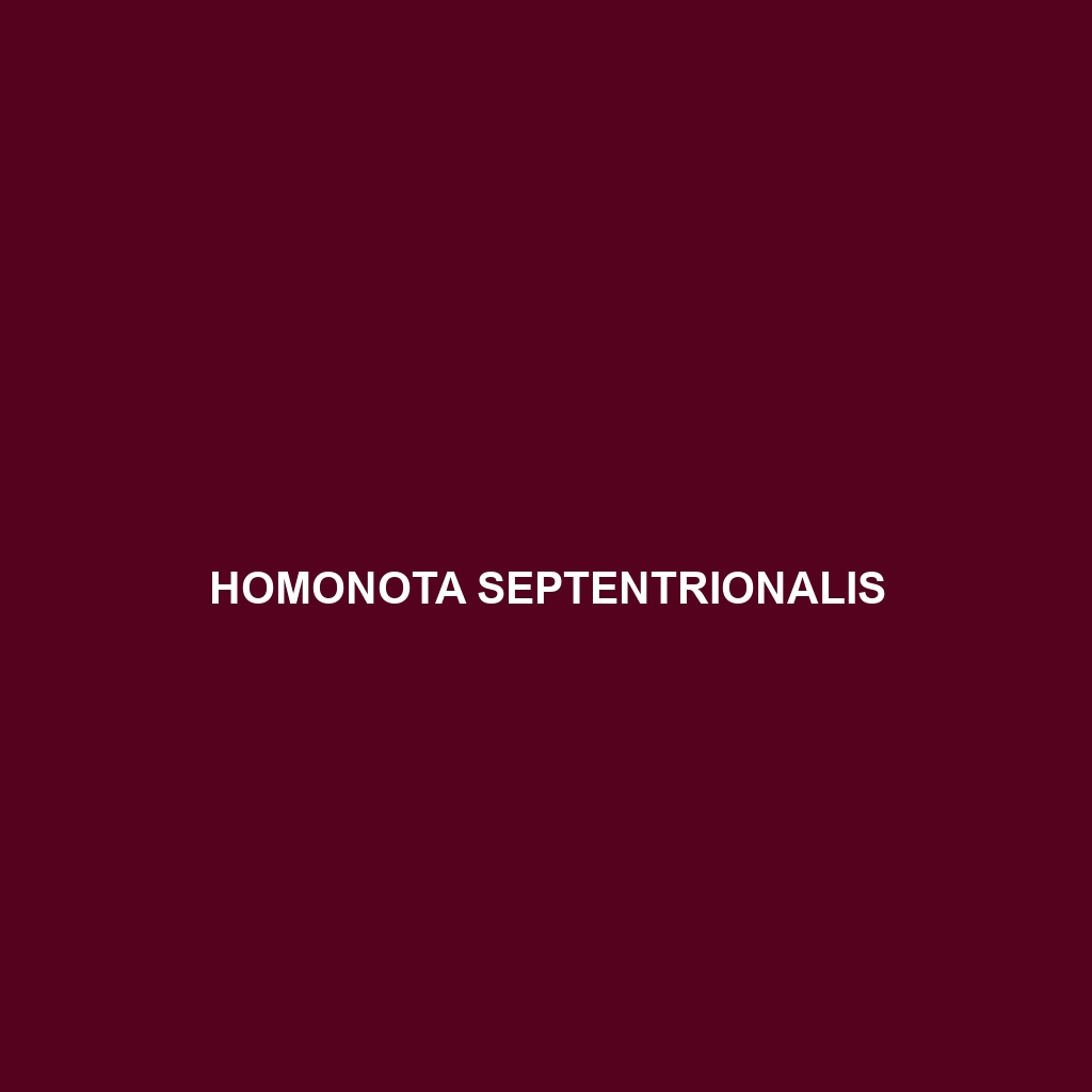 Homonota septentrionalis