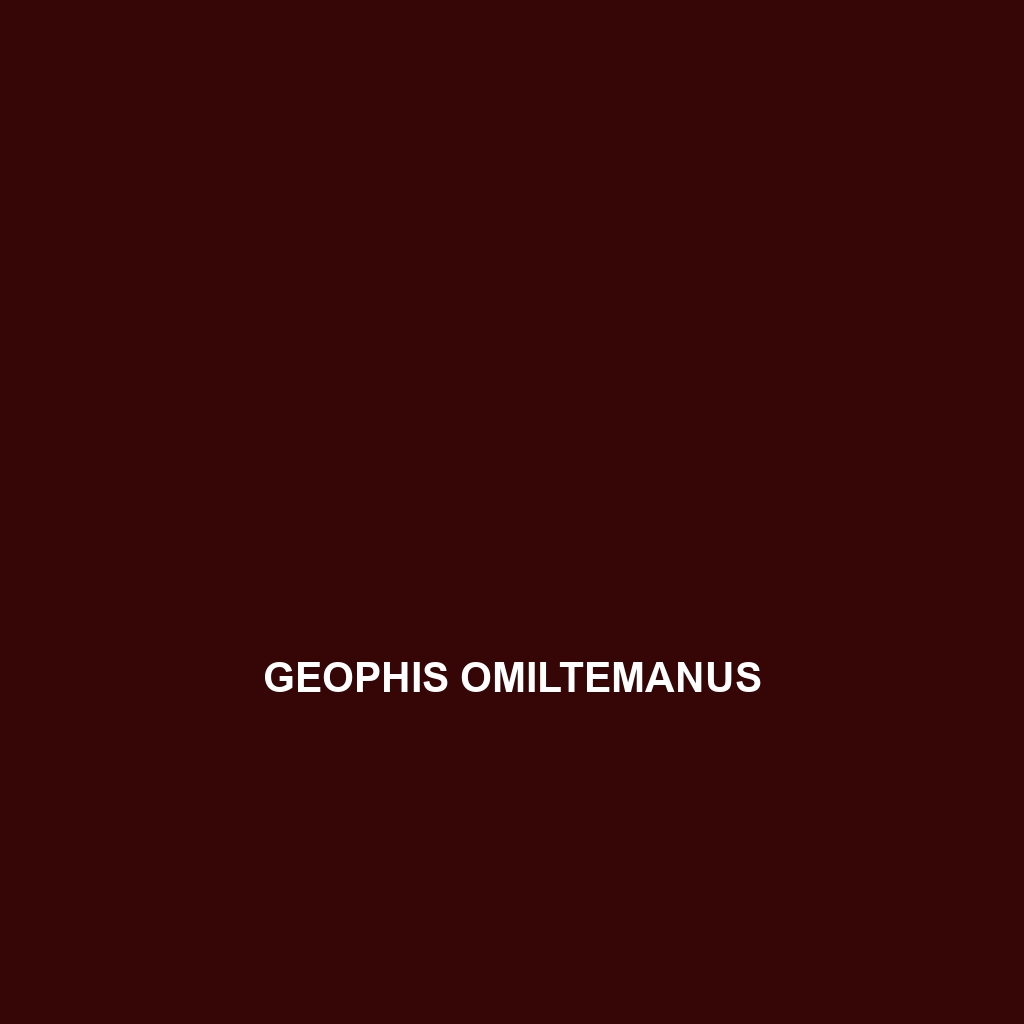 Geophis omiltemanus