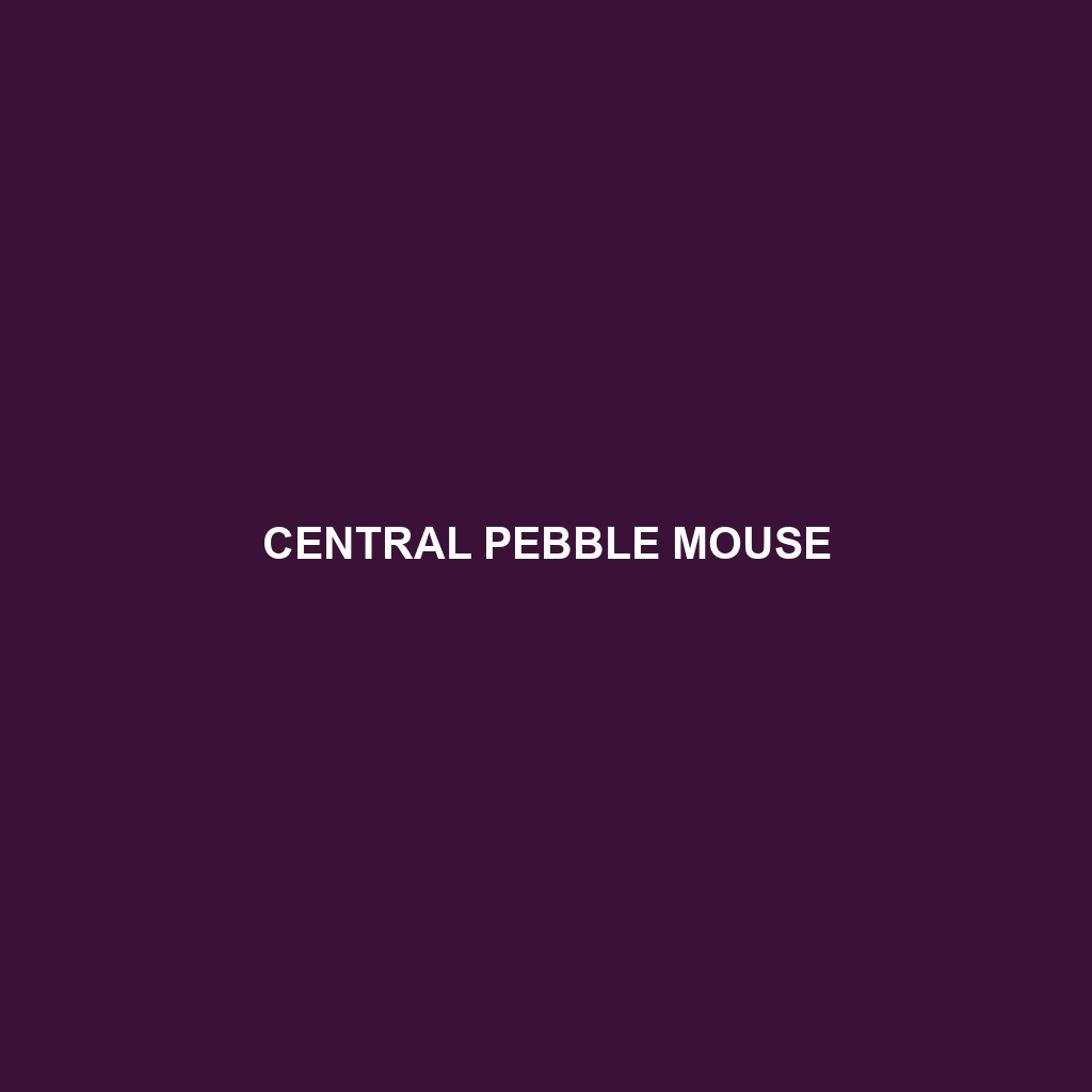 Central Pebble Mouse