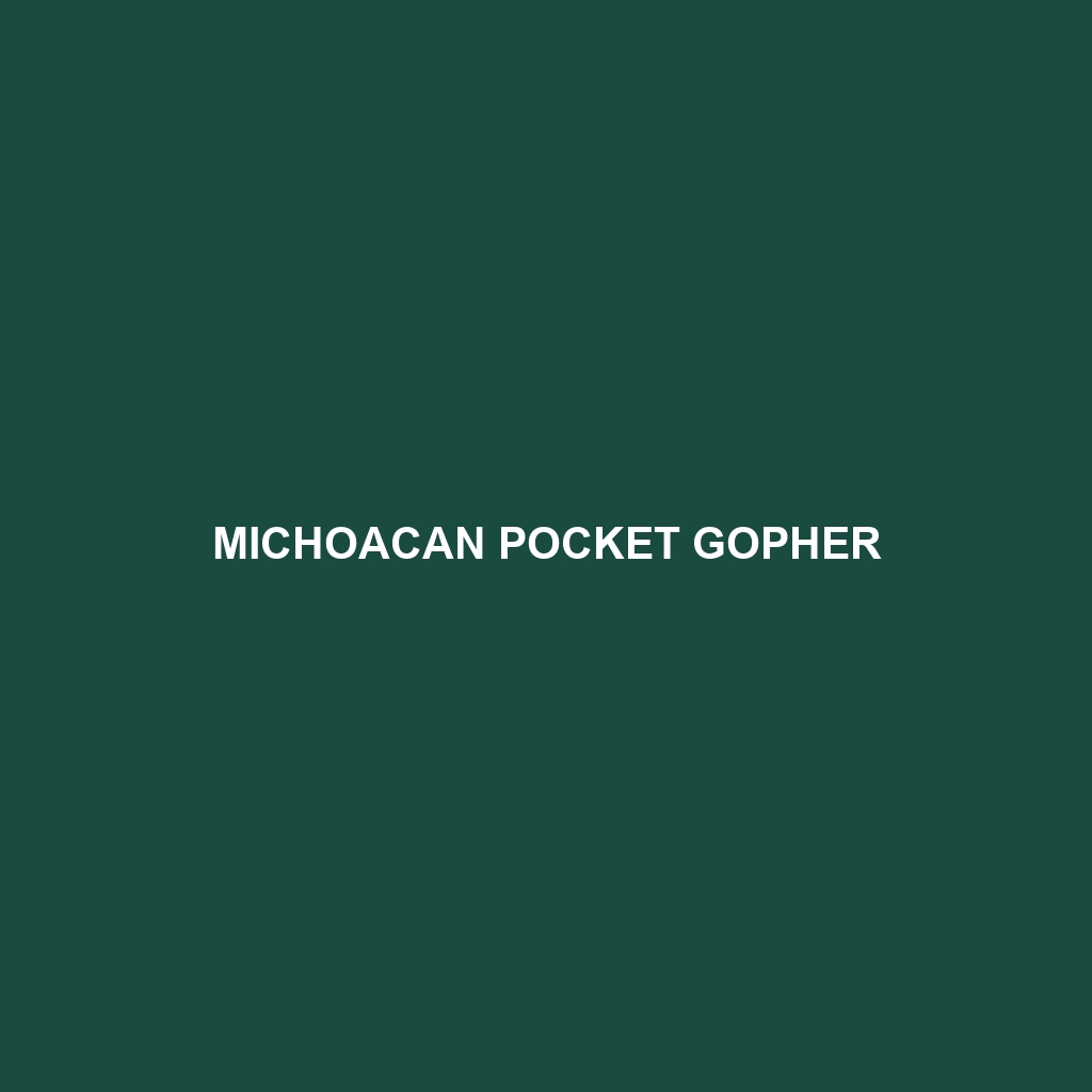 Michoacan Pocket Gopher