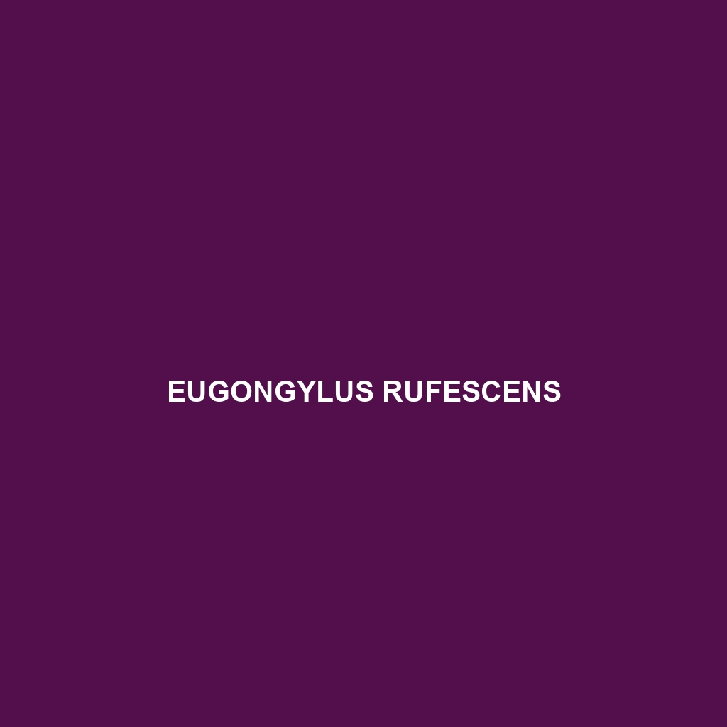 Eugongylus rufescens