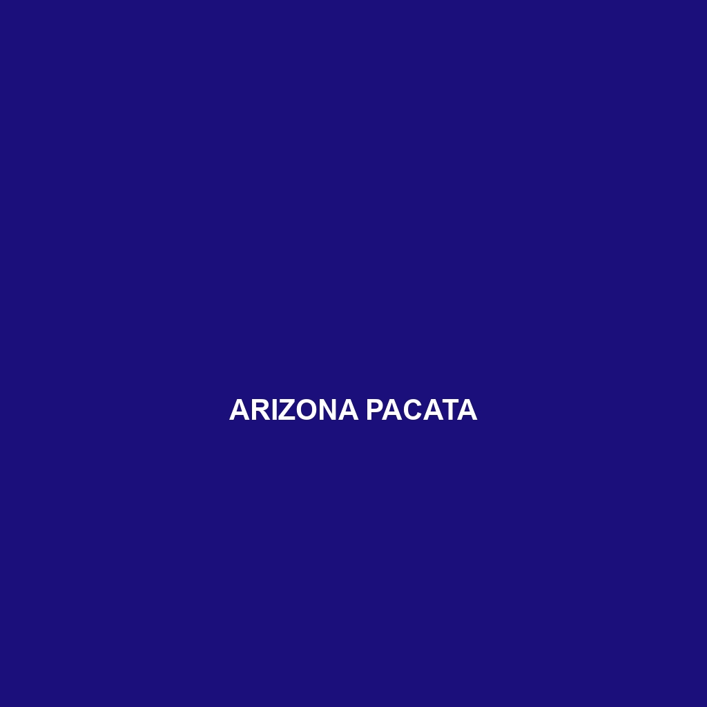 Arizona pacata