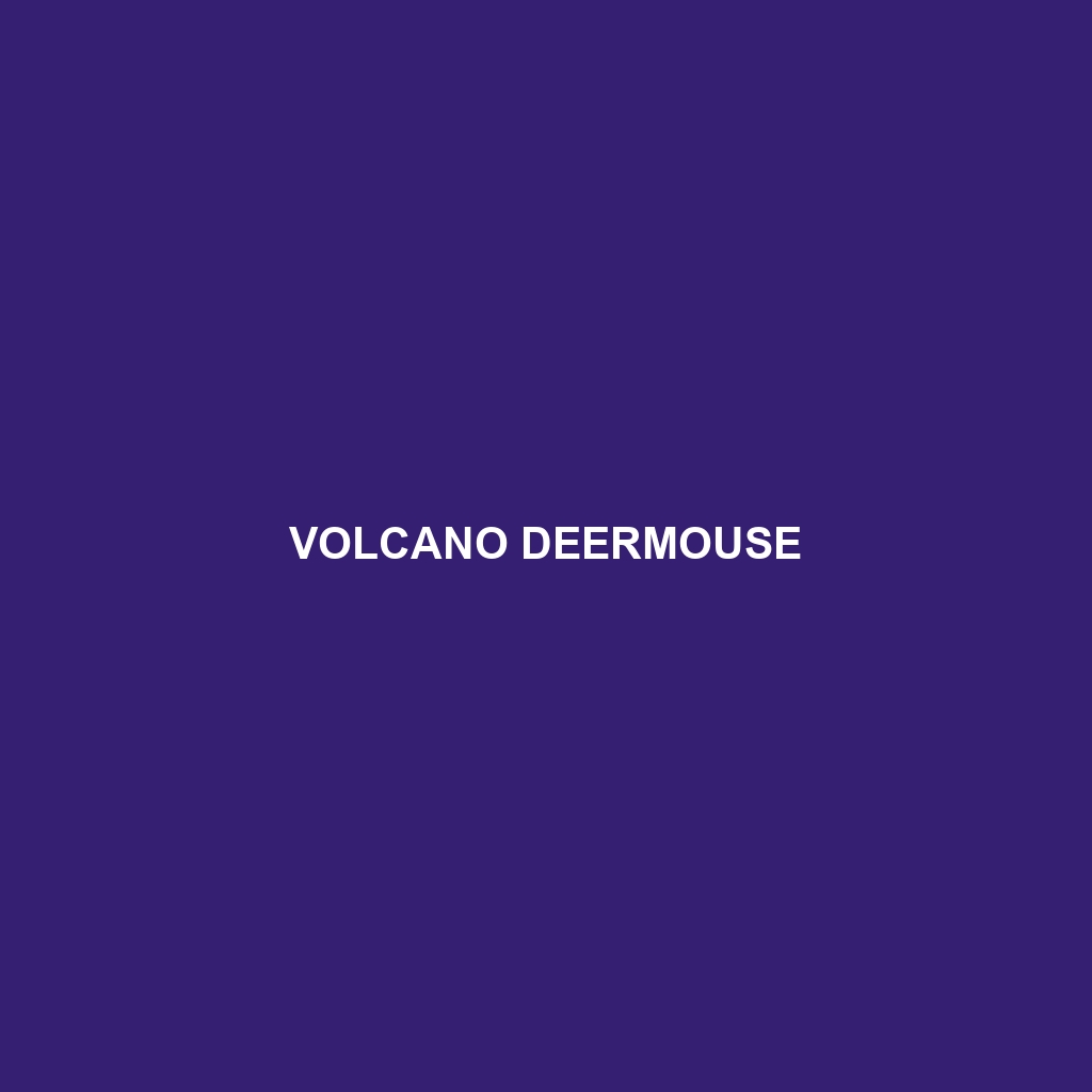 Volcano Deermouse